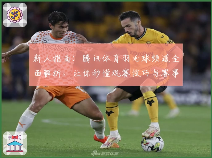新人指南：腾讯体育羽毛球频道全面解析，让你秒懂观赛技巧与赛事资讯