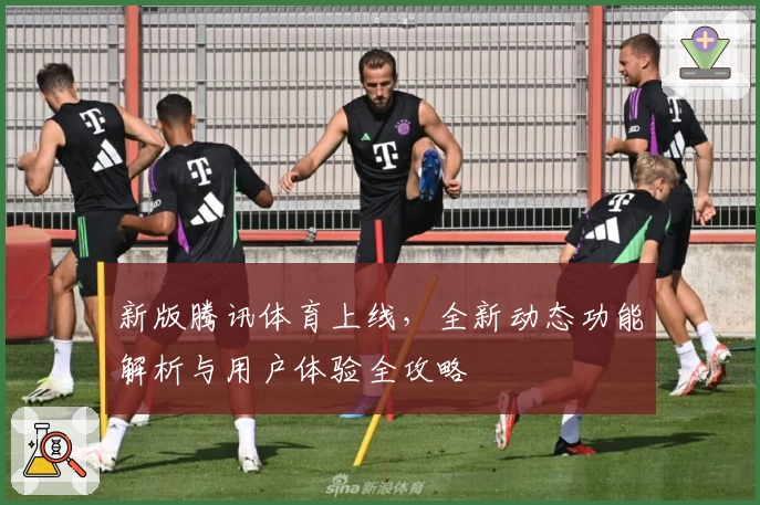 新版腾讯体育上线，全新动态功能解析与用户体验全攻略
